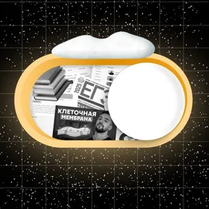 CHILL MODE | EGE 2026