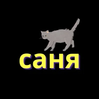 Саня-переводчица | Корейские BL-новеллы