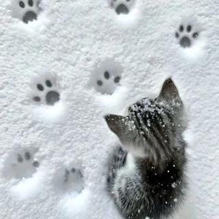 Hör auf dich selbst zu belügen