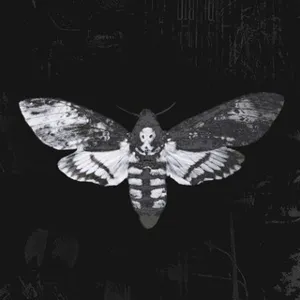 08HWO 18+ 成人内容