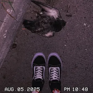 埃っぽいバンカー