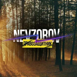 Michelle - Human Rights & Law