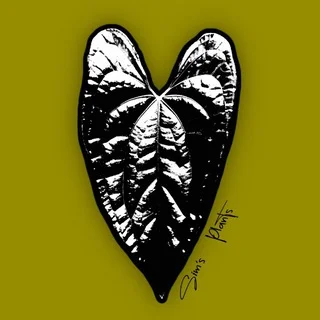 Растения Сима