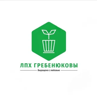 Grebenyukov 农场苗木