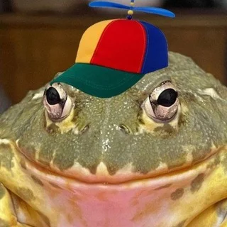 어리석음의 전령