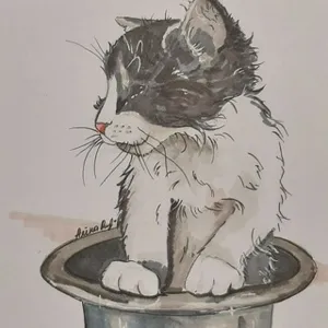 40catsFM - Refuge pour animaux