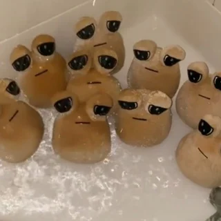 Stream Updates & Info