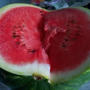 Arbuz スイカ