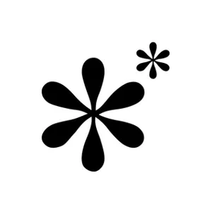 École Supérieure de Mathématiques Modernes du MIPT