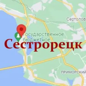 Sestrorezk Dating Chat