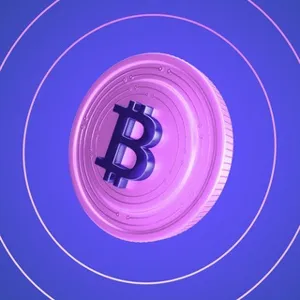 Demoiselle Blockchain