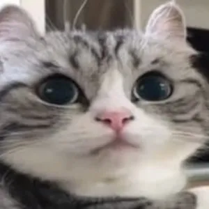 Krypto-Jobs und Hardcore-Work