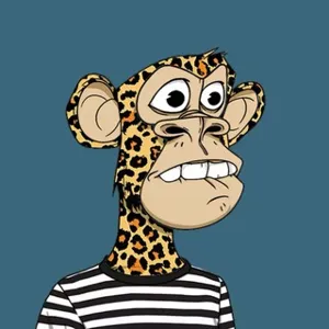 크리스티안 | 크립토 웹