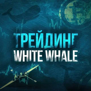 White Whale - AnatolyTrade
