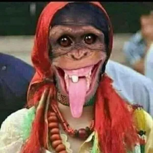 Telegram-Gruppenverkauf