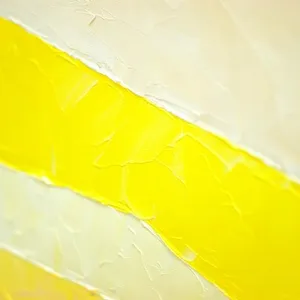 艺术中的科纽霍娃