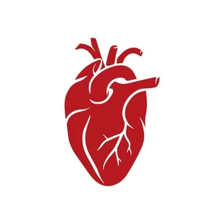 Kurzes über Krankheiten