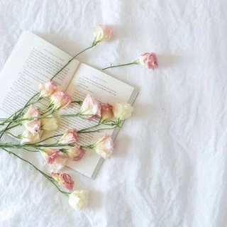 Tâm Sự Cùng Một Cuốn Sách