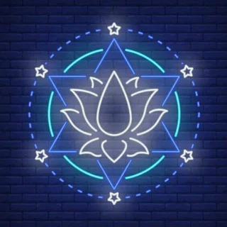 コンテンツ 2025