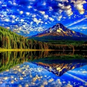 Ảnh và Video Kinh ngạc