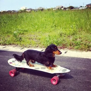 ADMIN 모집 | 자기 관리 고백 🍁