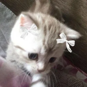 Ở Kumertau Mọi Người Yêu Thích..