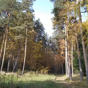 Sarapul Chat | Udmurtien