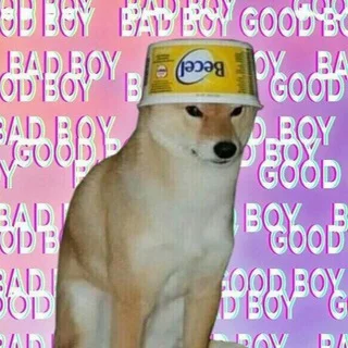 Ты что, ебать