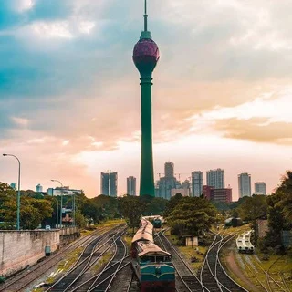 스리랑카 엘리트 그룹 채팅