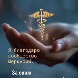 PotokCash, 게스트 채팅