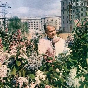 Quartier Airport/Sokol