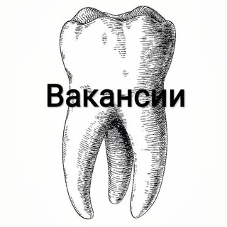 Kỹ Thuật Viên Nha Khoa / Việc Làm