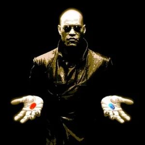 다이버전트 - 당신의 자유가 여기에 있습니다 🦅