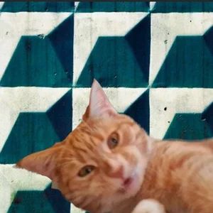 Chào bạn, người Nga!