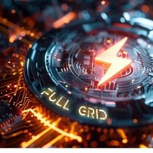 N E X Official Group