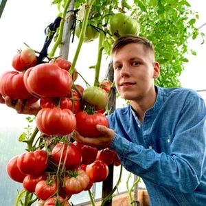 Tomato Paradise with Boris Sonin