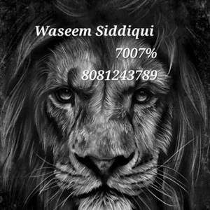 Waseem Siddiqui [7007%]