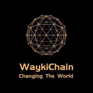 WaykiChain France: Public Chain & DeFi Ecosystem