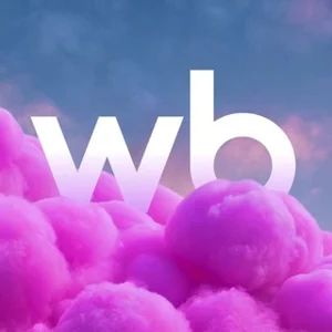 Wildberries | Verkäuferwaren