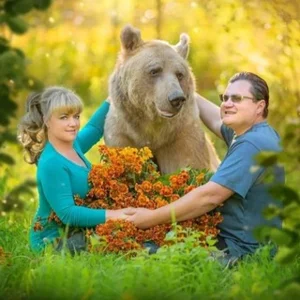 Stepan 🐻 Savva 🐻 곰