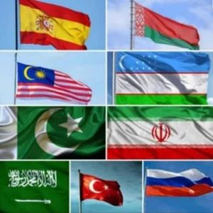 Travel Companies and Visa Services