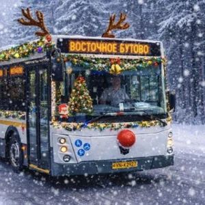 Bobrovo Routes (1202, 1507, 55k)