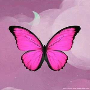 バーチャル友達探し