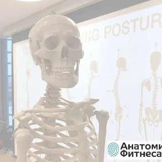 Fitness and Movement: Jobs, Experience Exchange, Legislation