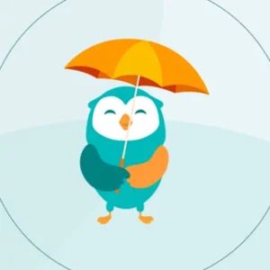 MoneyOwl Chats 💬🦉