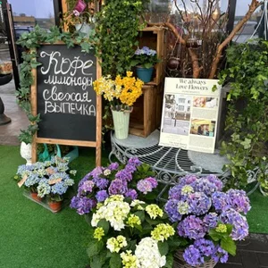 Alina in Gardenland | 花卉工作室