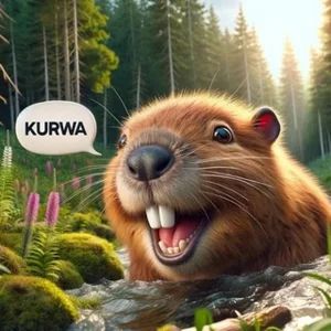 Bober Kurwa