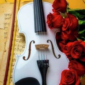 音乐 | 语录 | 视频