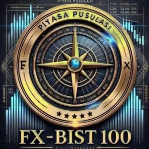 Market Compass 🧭 FX-BIST100