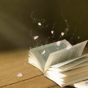 Ресурсы Shumo